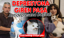 Depresyona giren Paşa antidepresanla tedavi edildi!