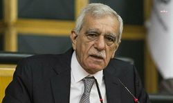 Ahmet Türk, kayyum gerekçesi gösterilen davadan beraat etti