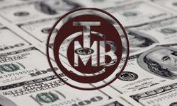 Merkez Bankası rezervleri rekor kırdı