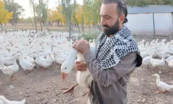 Islıkla yüzlerce hayvanı etrafına topluyor