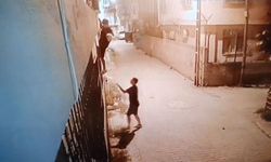 Kediyi çalıp fotoğraf çekindiler: O anlar kameraya yansıdı