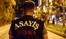Mersin'de çeşitli suçlara karışan 361 şüpheli tutuklandı, 134 silah ele geçirildi