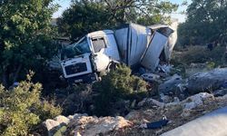Mersin'de kamyon kazası : 2 yaralı