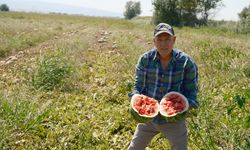 Londra'da kazandıklarıyla memleketine toprak yatırımı yaptı