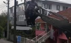 Köpeklerden kaçtı, direkte mahsur kaldı