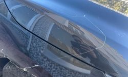 Tekirdağ'da gökyüzünden örümcek ağı yağdı