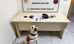 Mersin'de uy*şturucu operasyonu: 5 şüpheli tutuklandı