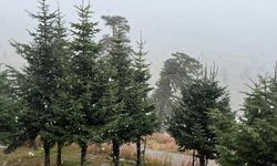 Kış geldi! Bolu'nun yüksek kesimlerine kar yağdı