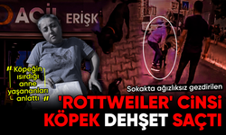Mersin'de sokakta ağızlıksız gezdirilen 'Rottweiler' cinsi köpek de'hşet saçtı
