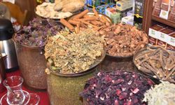 Prof. Dr. Şener: Kış çaylarında toksin riski var