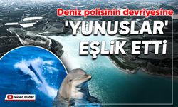 Deniz polisinin devriyesine 'Yunuslar' eşlik etti