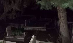 Yalova'da iş adamı mezarlıkta asılı halde ölü bulundu