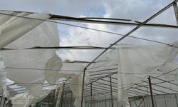 Mersin'de fırtına ve hortum seralara zarar verdi