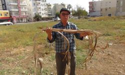 Mersin’de bir kişi yer altı su kaynaklarını bulabiliyor, bulduğunda elektrik çarpmışa dönüyor