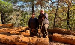 Karı-koca 35 yıldır ormanlarda damgalanan ağaçları kesiyorlar