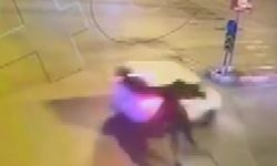 Başıboş at, araca çarptı