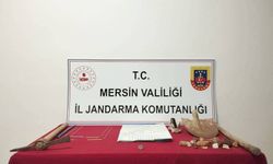 Mersin’de kaçak kazı operasyonu: 4 şüpheli yakalandı