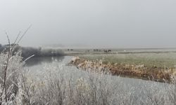 Hava sıcaklığının eksi 14,6 dereceye düştüğü göle buz tuttu