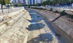 Adana'da son 52 yılın en kurak dönemi