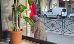 Türk bayrağını öpen teyzenin görüntüsü yürekleri ısıttı