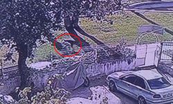 Ci'nayetin ardından elindeki kanı çimlere silmiş