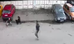 Köpeğin saldırısına uğrayan çocuğu babası kurtardı