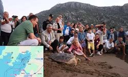Caretta Caretta 'Lansinoh'un rotasını 25 bin kişi görüntüledi