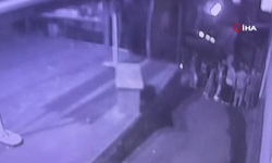 Gaziosmanpaşa’da korkunç ci'nayet: Torununu korumak isterken canından oldu!