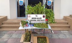 JANDARMADAN UY*ŞT*RUCU MADDE OPERASYONU