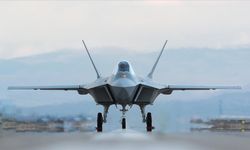 Samsun'da yolcu uçağı martı sürüsüne çarptı