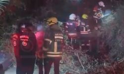 Ağaç, sürücüsünün içinde olduğu aracın üzerine devrildi