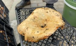 Yağmur yağdı, fiyatı 300 liradan 100 liraya düştü