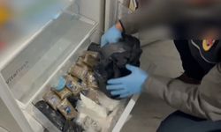 Esrar ve kokain buzdolabından çıktı!