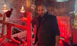 Tavuklara müzikli terapi: "Yumurta verimi arttı"