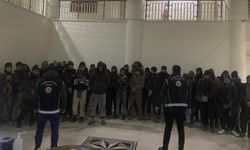 Amasya'da tırdan 37 kaçak göçmen çıktı