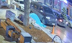 Bu da ağaç hırsızlığı: Parktaki ağacı araçla çaldılar