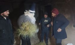 Van'da köylülerin kış eğlencesi 'köse-gelin' geleneği yaşatılıyor
