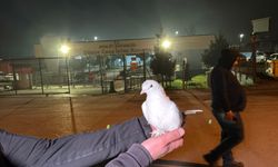 Tahliyeleri beyaz güvercinle karşıladılar