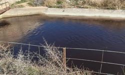 Göksu siyah akmaya başladı, akıllara 3 yıl önceki hadise geldi