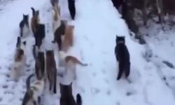 Soğuk kış günlerinde yürek ısıtan görüntüler Erzincan’dan