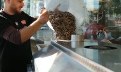 Kuruyemişçilerde yılbaşı yoğunluğu