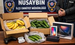 Kargo kutusundan muz çıktı