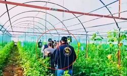 7 yıl önce işlenen c-nayetin hükümlüsü JASAT tarafından Antalya’da yakalandı