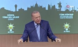 Cumhurbaşkanı Erdoğan: "CHP, Türk dünyasına halen şaşı bakmayı, sürdürmektedir"