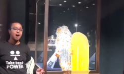 Londra’da Kraliyet Mücevherlerine muhallebili protesto