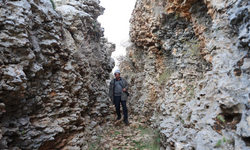 Diyarbakır'da yüz milyonlarca yıl önceye ait fosiller bulundu