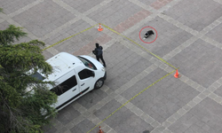 Köpekten örnek davranış: Polis şeridini ihlal etmedi