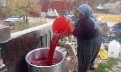 Mersin'de kadınların nar ekşisi mesaisi