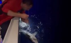 Mersin’de gece avında köpekbalığı sürprizi