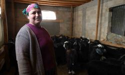 Kırsalda hayvancılıkla uğraşan kadın besicinin zorlu mesaisi